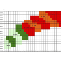 KARISMA T-Shirt Gr. CM = 10 - 12  Jahre