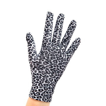 Sagester Handschuhe